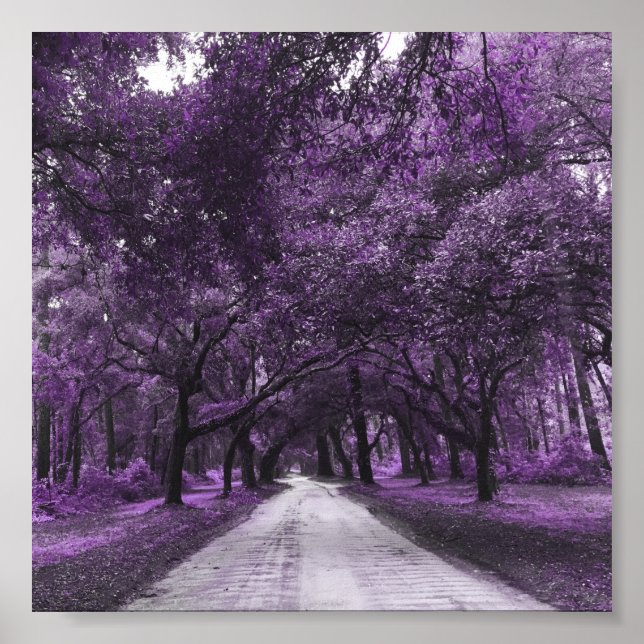 santee road poster (Front)