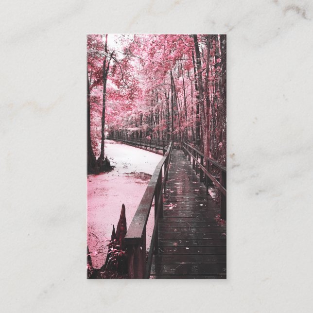 santee swamp dreamscape business card (Front)