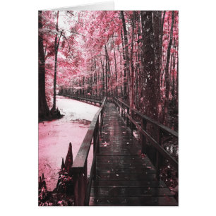 santee swamp dreamscape cards