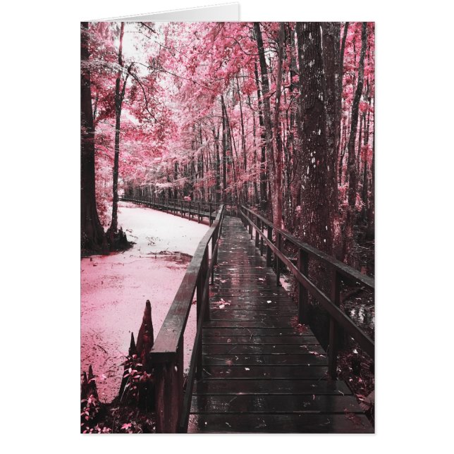 santee swamp dreamscape cards (Front)