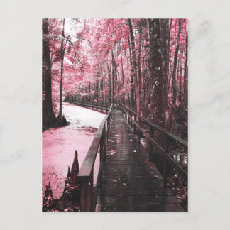 santee swamp dreamscape postcard