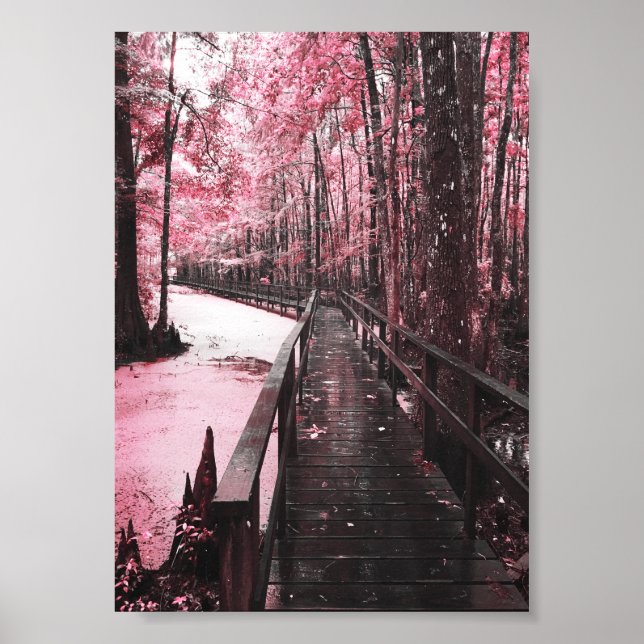 santee swamp dreamscape poster (Front)