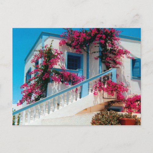 Santorini Blumenpracht Postcard