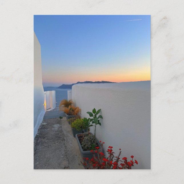 Santorini Greece Street Plants Sunset  Postcard (Front)