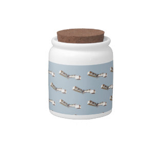 Santos-Dumont 14-Bis Airplane Candy Jar