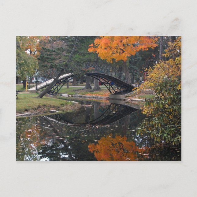 SANY4603 Fall Foliage Postcard (Front)