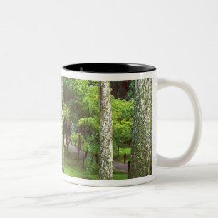 Sanzen-in Temple, Ohara, Kyoto, Japan Two-Tone Coffee Mug