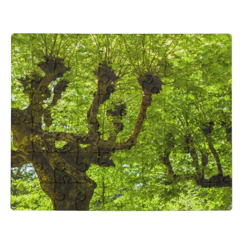 Sao Miguel Island Jigsaw Puzzle