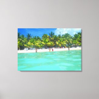 SAONA BEACH ON CANVAS 20 