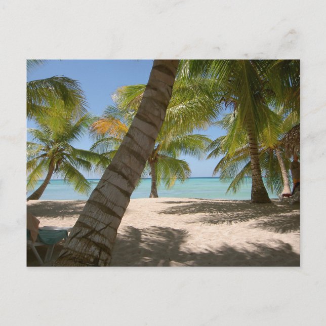 Saona Island Dominican republic post card (Front)