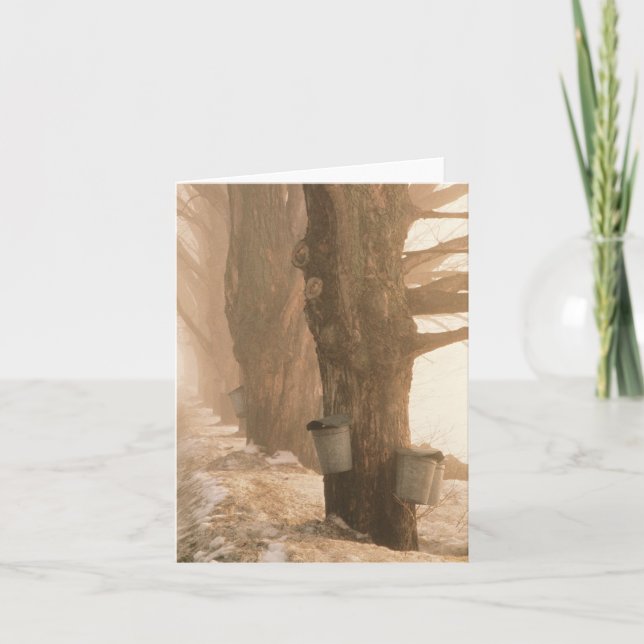 Sap Buckets Note Card (Front)