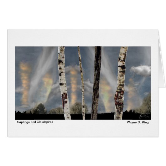 Saplings and Cloudspires Cards (Front Horizontal)