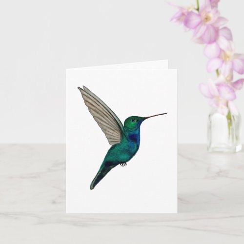 Sapphire_bellied Hummingbird Card