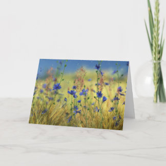 Sapphire & Gold Card