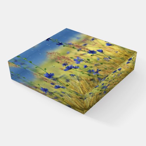 Sapphire & Gold Paperweight