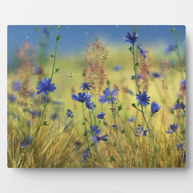 Sapphire & Gold Plaque (Front)