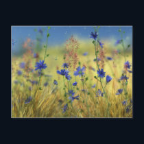 Sapphire & Gold Postcard