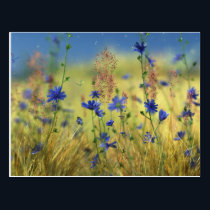 Sapphire & Gold Postcard