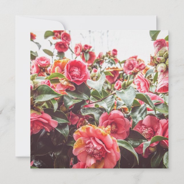 Sapphire Gold | Square Flat Card with Envelope (Front)