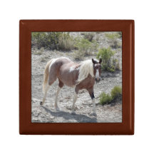 Sapphire of Sand Wash Basin