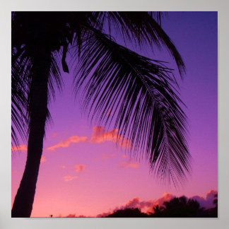 sapphire palm poster