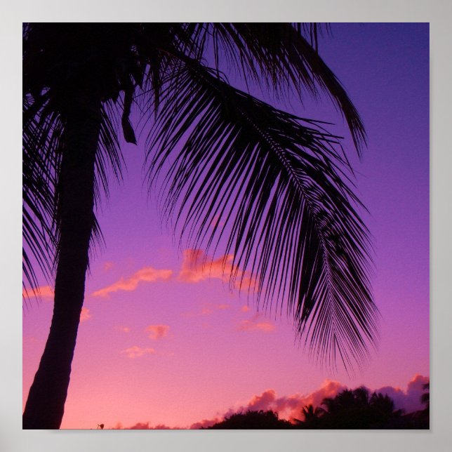 sapphire palm poster (Front)