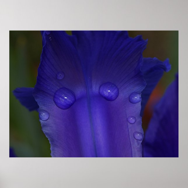 Sapphire Serenity  Poster (Front)