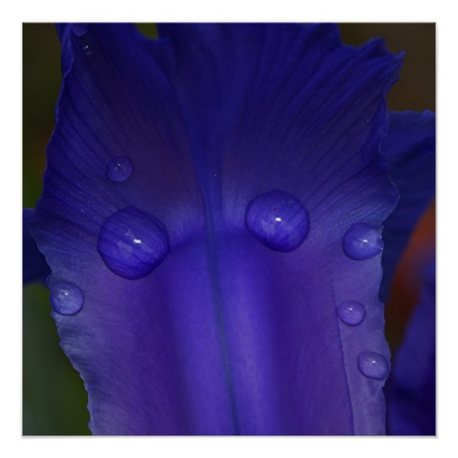 Sapphire Serenity  Poster (Front)