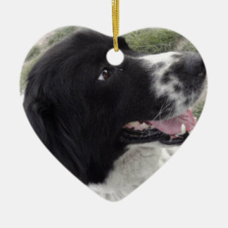 Sara Bulgarian Shepherd Dog Ceramic Ornament