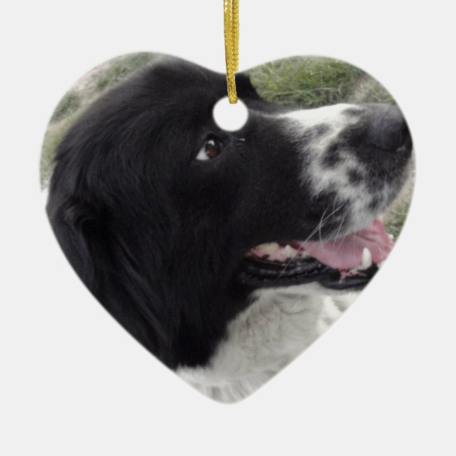 Sara Bulgarian Shepherd Dog Ceramic Ornament (Front)