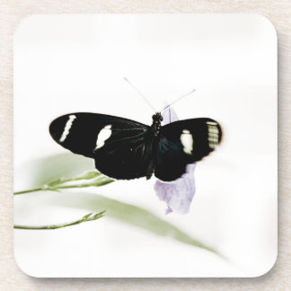 Sara Cork Coaster