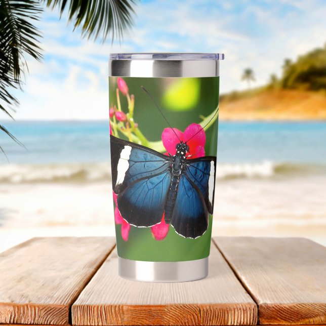 Sara Longwing Butterfly on Red Flowers Insulated Tumbler (Beach)