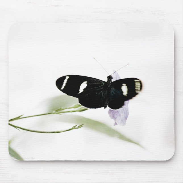 Sara Mousepad (Front)