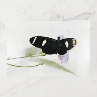 Sara Trinket Tray