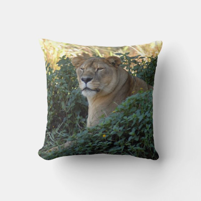 sarabi-set-1-003 throw pillow (Front)