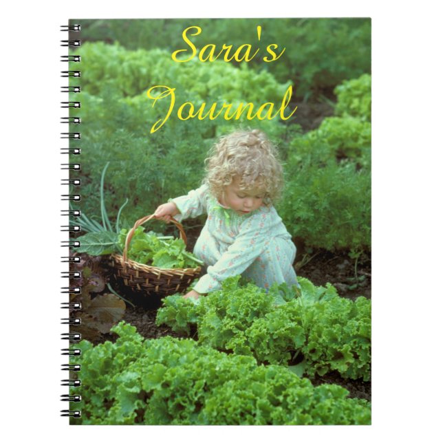 Sara's Journal (Front)