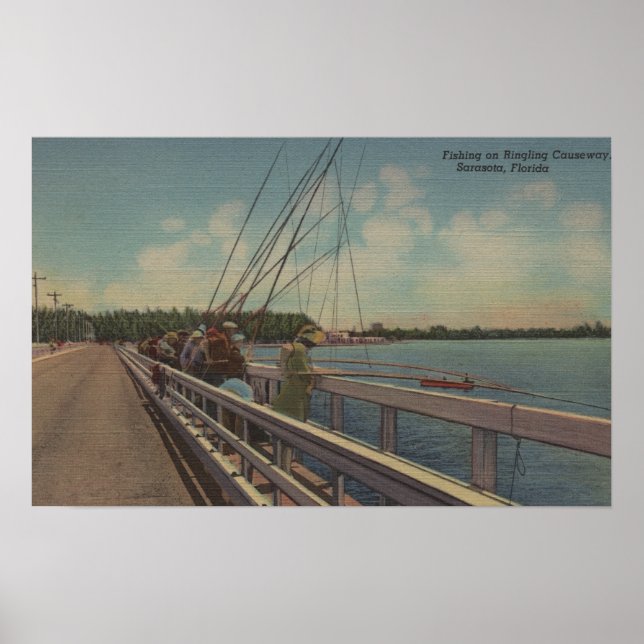 Sarasota, FL - View of People Fishing Off Poster (Front)
