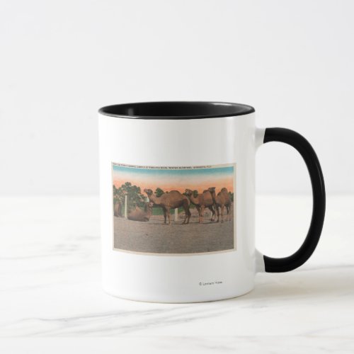 Sarasota Florida _ Camels at Ringling Bros Mug