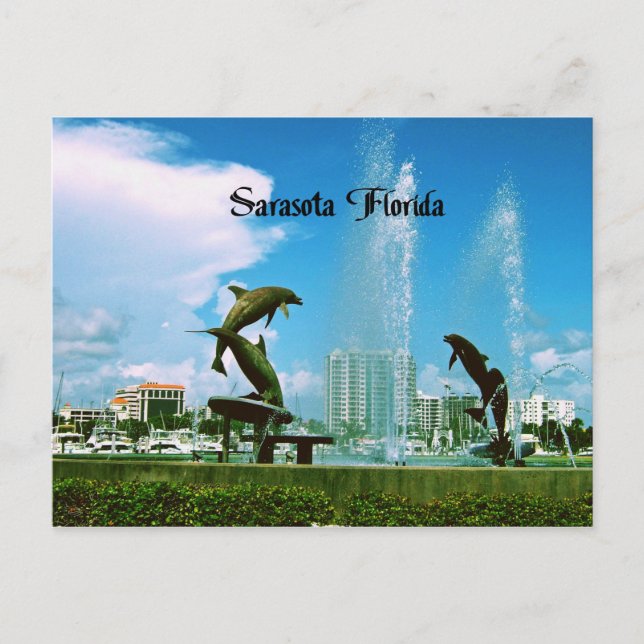 Sarasota Florida Postcard (Front)