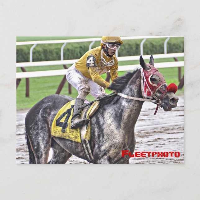 Saratoga 150 Art Photos Postcard (Front)