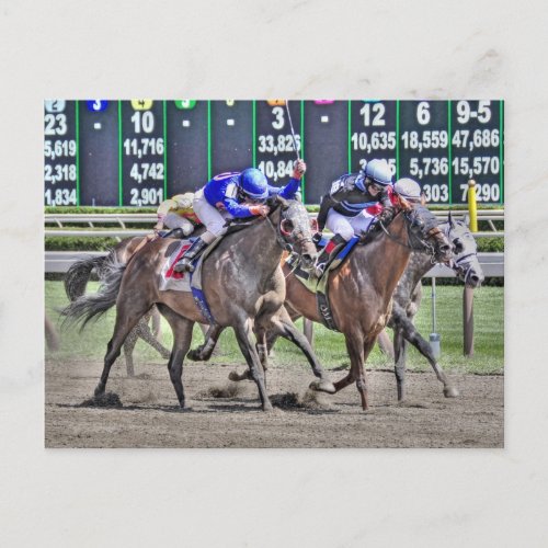 Saratoga Horse Racing Postcard
