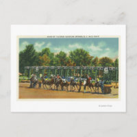 Saratoga Race Track Starting Line View