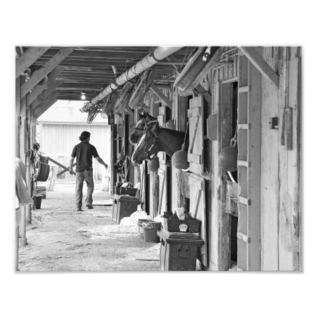 Saratoga Shedrow at Horse Haven Photo Print (Front)