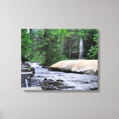 Saratoga Spa State Park_Geyser Creek Canvas Print