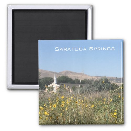 Saratoga Springs Magnet