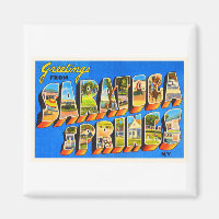 Saratoga Springs New York NY Old Travel Souvenir