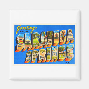 Saratoga Springs New York NY Old Travel Souvenir Magnet