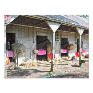 Saratoga Stables "Horse Haven" Photo Print