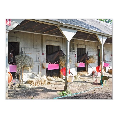 Saratoga Stables Horse Haven Photo Print