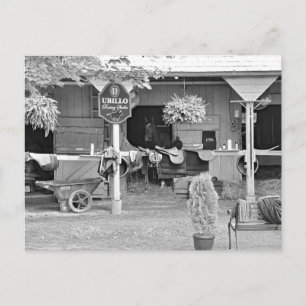 Saratoga Stables "Horse Haven" Postcard